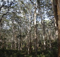 Boranup Karri Forest - Accommodation Resorts