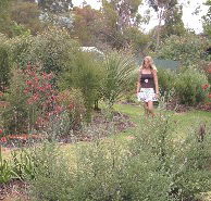 The Mythic Mazes - Accommodation Resorts