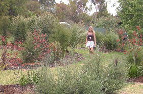 The Mythic Mazes - Accommodation Resorts 0