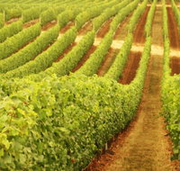 Xanadu Wines - Accommodation Resorts