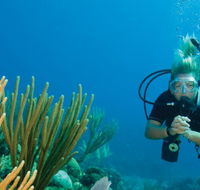 Coastal Water Dive - Accommodation Resorts