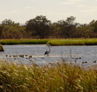 Anytime Adventures in Mandurah  the Peel Region - Accommodation Resorts
