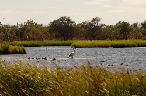 Anytime Adventures In Mandurah & The Peel Region - Accommodation Resorts 0