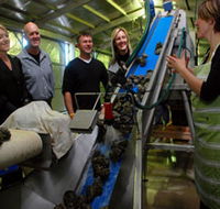 Eyre Peninsula's Seafood Trail - Accommodation Resorts
