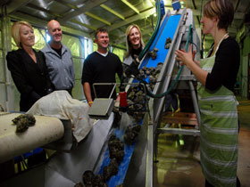 Eyre Peninsula's Seafood Trail - Accommodation Resorts 0