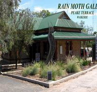Rain Moth Gallery - Accommodation Resorts