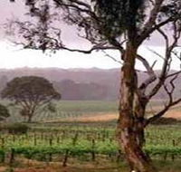Yangarra Estate Vineyard - Accommodation Resorts