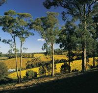 Lobethal Archives And Historical Museum - Accommodation Resorts