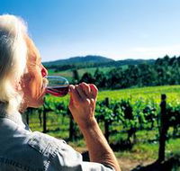 Ashton Hills Vineyard - Accommodation Resorts