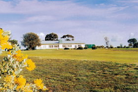  Accommodation Resorts