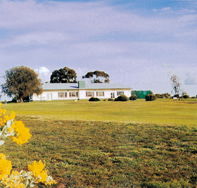Lucindale Country Club - Accommodation Resorts