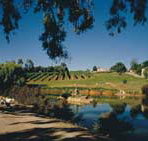 Mount Hurtle Winery home of Geoff Merrill Wines - Accommodation Resorts