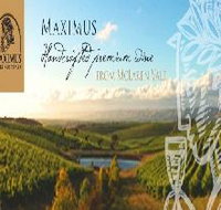 Maximus Wines Australia - Accommodation Resorts