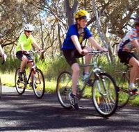 Penola Cycling Trails - Accommodation Resorts