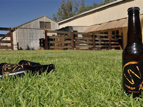 Paringa SA Accommodation Resorts