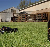 Wilkadene Woolshed Brewery - Accommodation Resorts