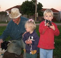 Orrie Cowie Merino and Poll Merino Stud - Accommodation Resorts