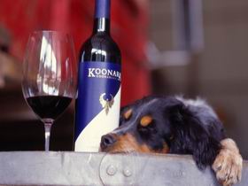 Koonara Wines - Accommodation Resorts 0