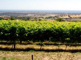  Accommodation Resorts