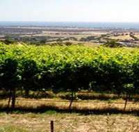 Braydun Hill Vineyard - Accommodation Resorts