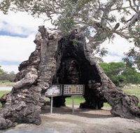 The Herbig Family Tree - Accommodation Resorts