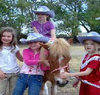 Amberainbow Pony Rides - Accommodation Resorts