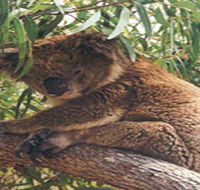 Mikkira Station - Accommodation Resorts