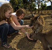 Kangaroo Island Wildlife Park - Accommodation Resorts