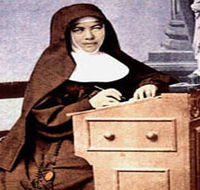 Mary MacKillop Penola Centre - Accommodation Resorts