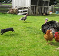 Echo Farm - Accommodation Resorts