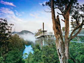 Geeveston TAS Accommodation Resorts