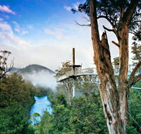 Tahune Adventures Tasmania - Accommodation Resorts