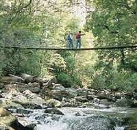 Arve Forest Drive - Accommodation Resorts
