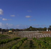 Deep Creek Wines and Alpacas - Accommodation Resorts