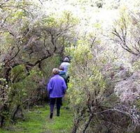 Jack And Hilda McArthur Walk - Accommodation Resorts