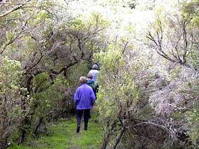 Jack And Hilda McArthur Walk - Accommodation Resorts 0