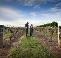 Coonawarra Wineries Walking Trail - Accommodation Resorts