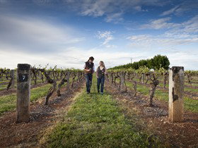 Coonawarra Wineries Walking Trail - Accommodation Resorts 0