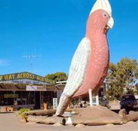 The Big Galah - Accommodation Resorts