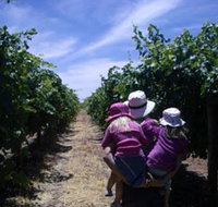 McLaren Vale Orchards - Accommodation Resorts