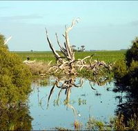 Bool Lagoon Game Reserve and Hacks Lagoon Conservation Park - Accommodation Resorts
