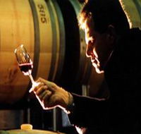 Salena Estate Wines - Accommodation Resorts