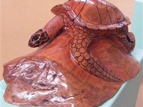 Ants Redgum Gallery - Accommodation Resorts 0