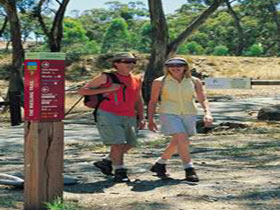 Riesling Trail - Accommodation Resorts 0