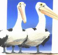 Bay of Shoals Wines - Accommodation Resorts