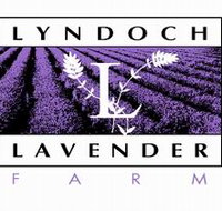 Lyndoch Lavender Farm and Cafe - Accommodation Resorts