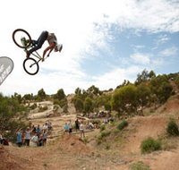 Eagle Mountain Bike Park - Accommodation Resorts