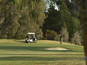 Barossa Valley Golf Club Incorporated - Accommodation Resorts 0