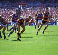 AAMI Stadium Tours - Accommodation Resorts