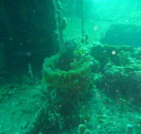 Wallaroo Scuba Club - Accommodation Resorts